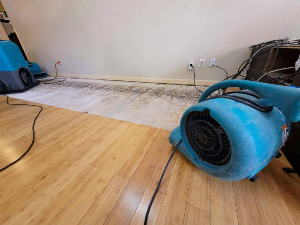 Professional Water Damage Repair technician working in Carpenter, WY